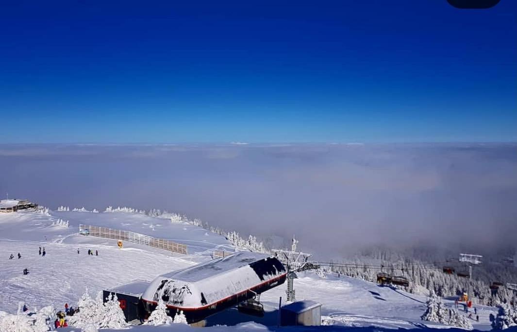 Jelka apartmani Jahorina Exteriér fotografie